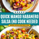 15 Minute Sweet & Spicy Mango Habanero Salsa Recipe