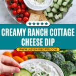 Cottage Cheese Dip with Ranch Seasoning Recipe
