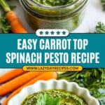 Carrot Top Pesto Recipe