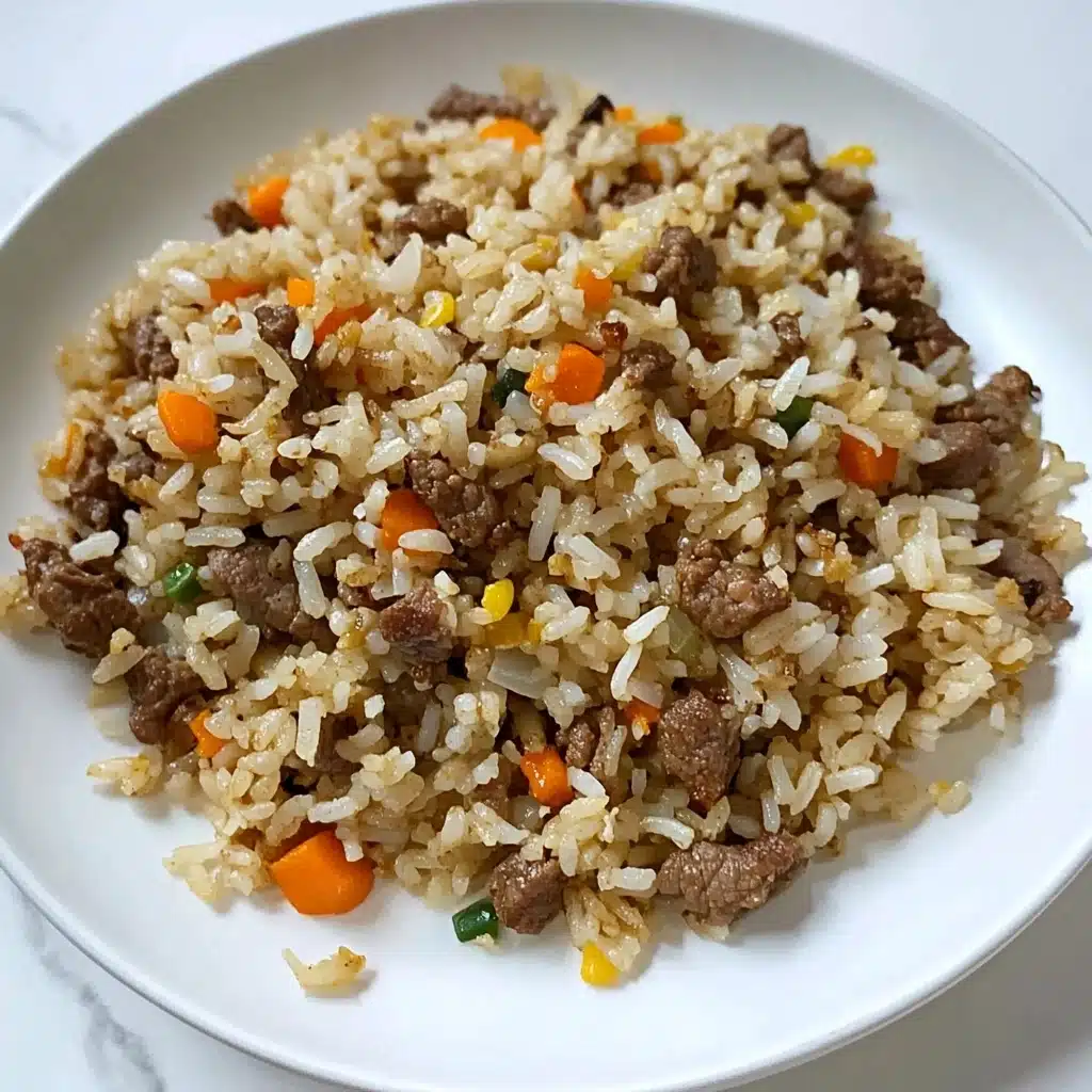 Instant Pot Beef and Rice Recipe - Recipe Image