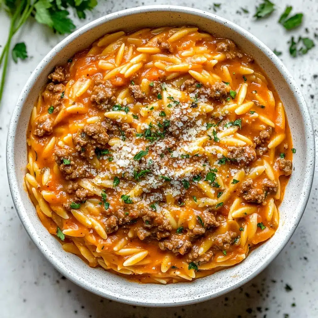 Ground Beef Orzo with Tomato Cream Sauce Recipe - Recipe Image