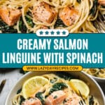The Best Creamy Salmon Pasta Recipe