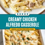 Chicken Alfredo Casserole Recipe