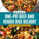 Beef and Rice with Veggies Recipe