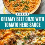 Ground Beef Orzo with Tomato Cream Sauce Recipe