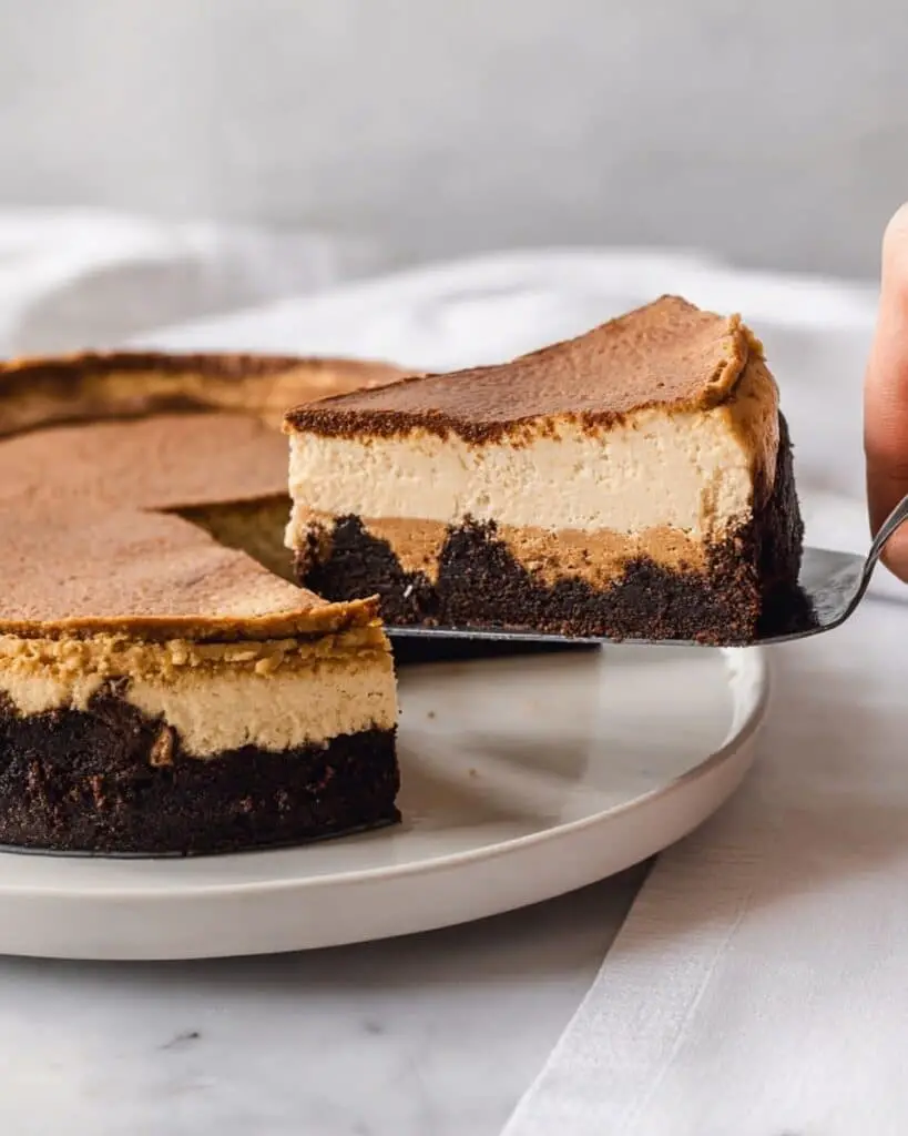 Chocolate Pumpkin Cheesecake Recipe